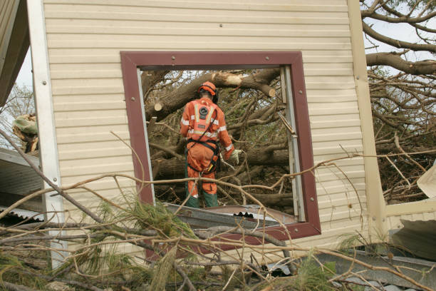 Best Emergency Tree Removal  in Snoqualmie, WA